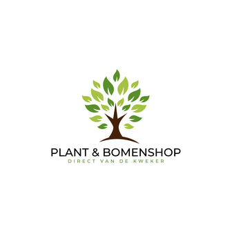 Navigate back to Plant & Bomenshop homepage