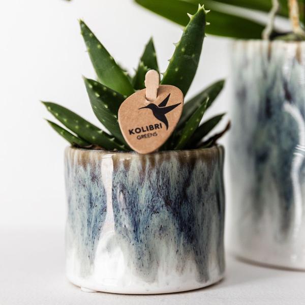 Kolibri Home | Sky pot - Ø6cm en Ø9cm - Voor Orchideeën en vetplantjes