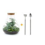 DIY Terrarium - Sam XL - Rake + Shovel | Zelfvoorzienend Ecosysteem