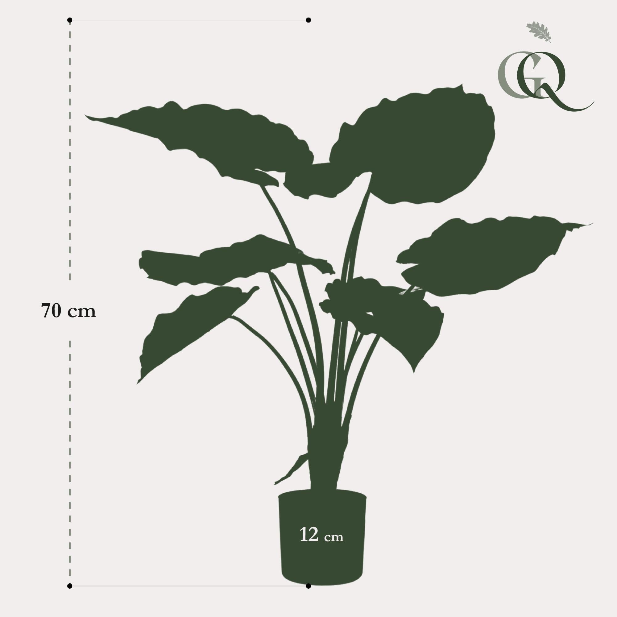 Kunstplant Alocasia - Olifantsoor 70 cm - Altijd groen