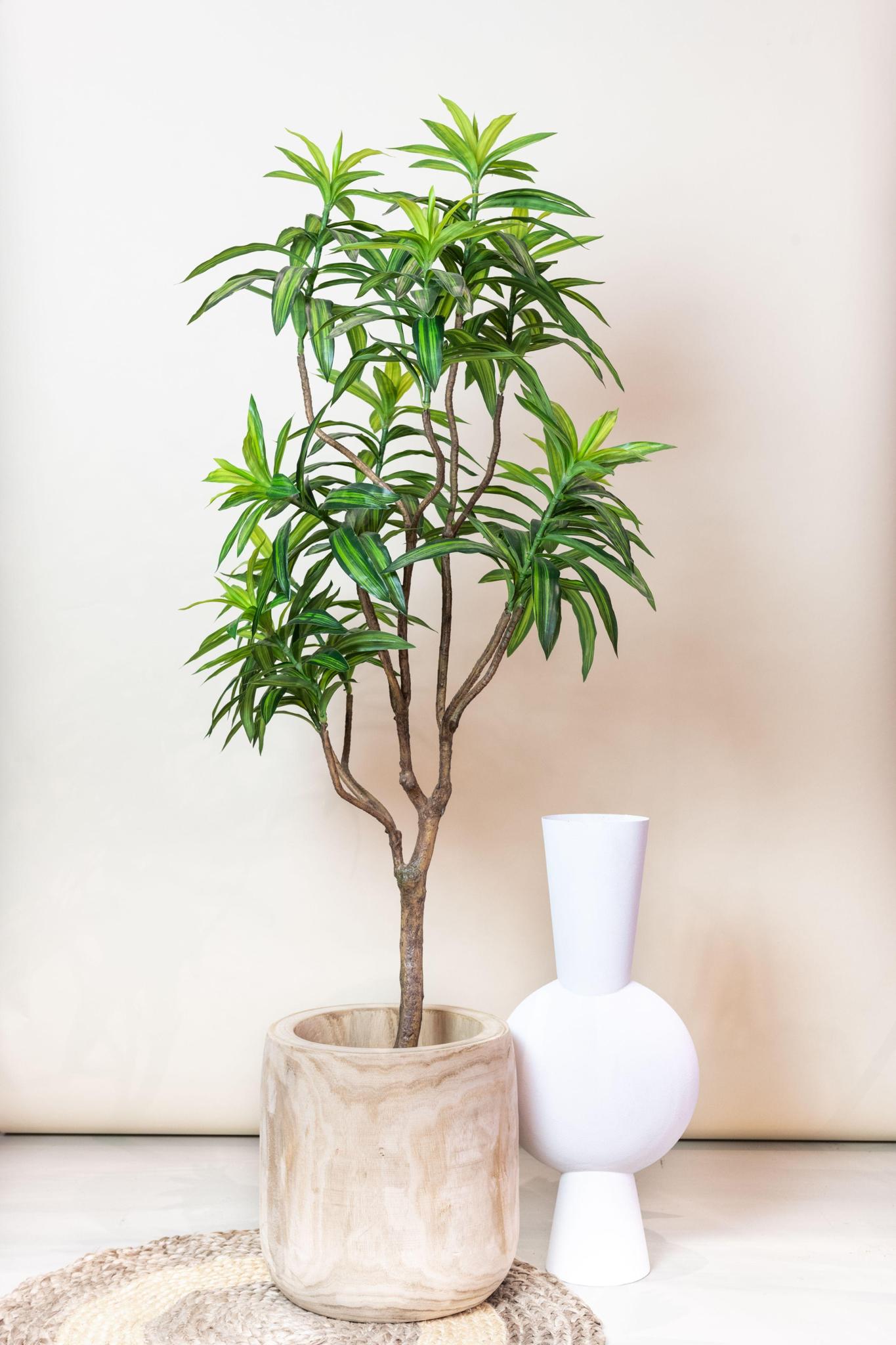 Kunstplant - Dracaena - Drakenboom - 155 cm - Breng groen in je huis