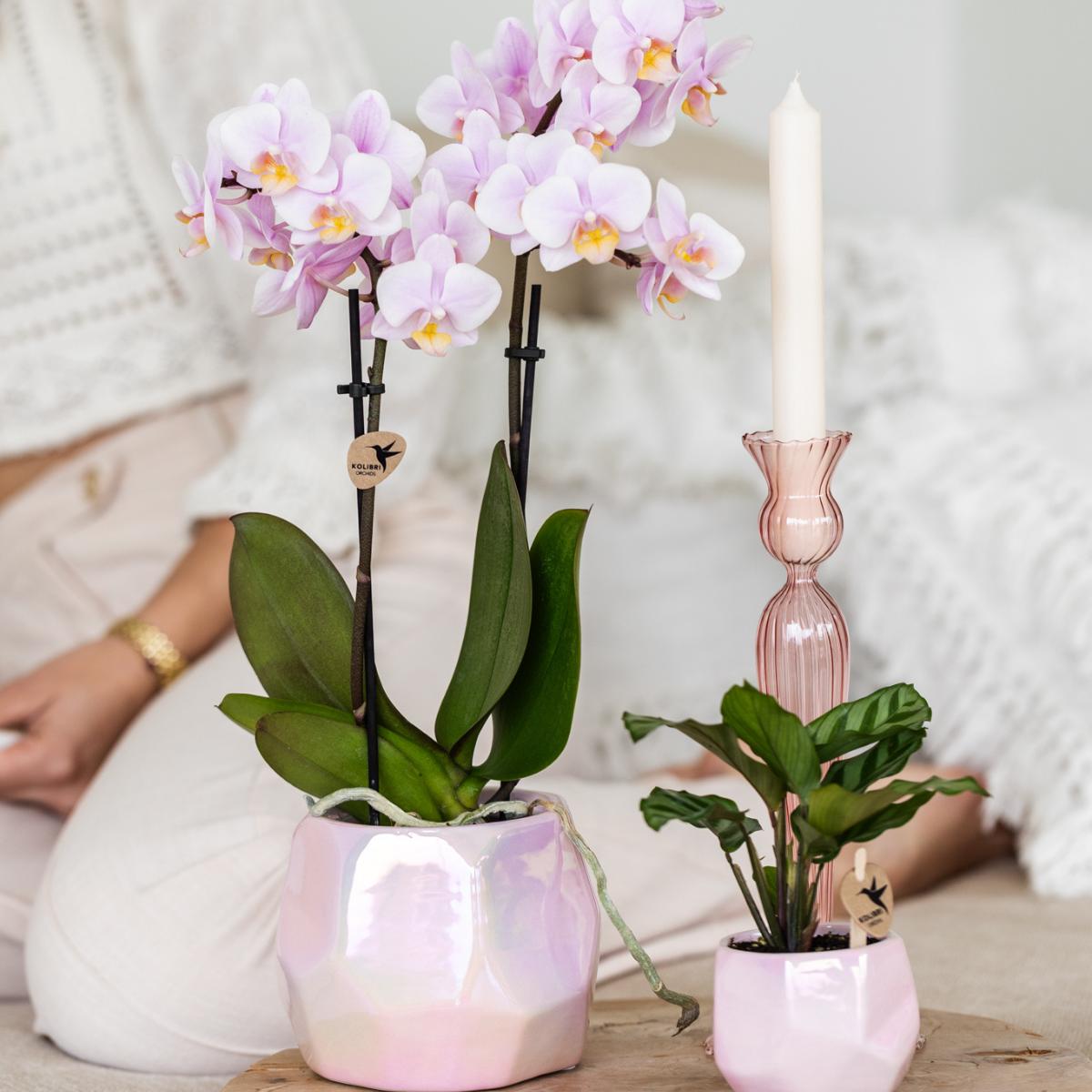 Kolibri Home I Pearl pot - Pink - Ø6cm en Ø9cm