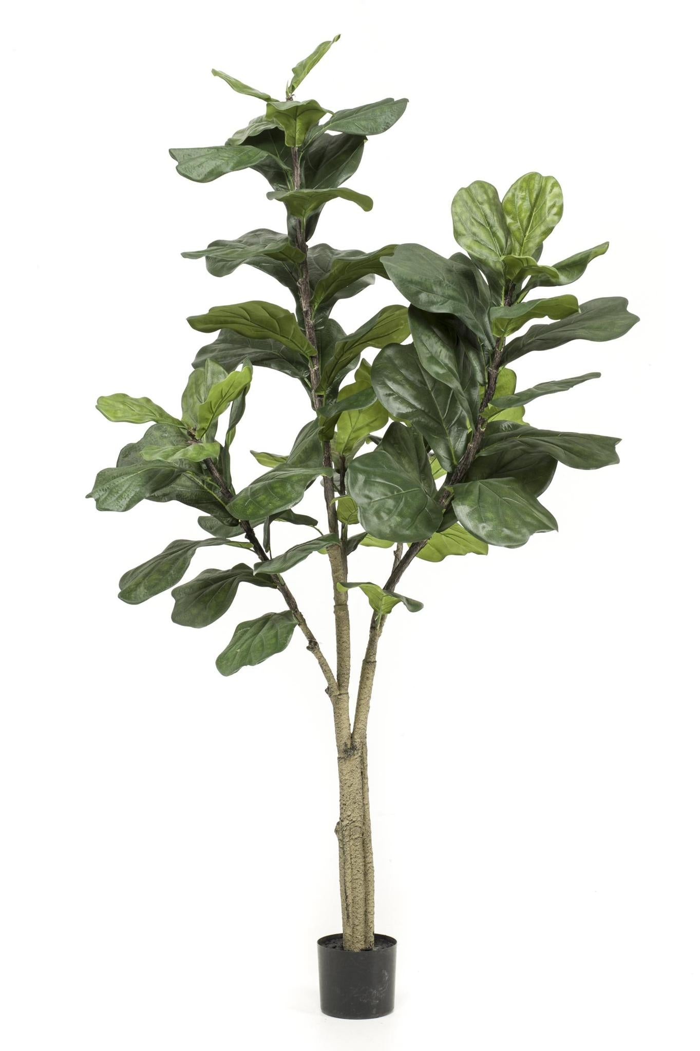 Ficus Lyrata Tabaksplant - Realistische kunstplant 180 cm - Voor thuis of op kantoor