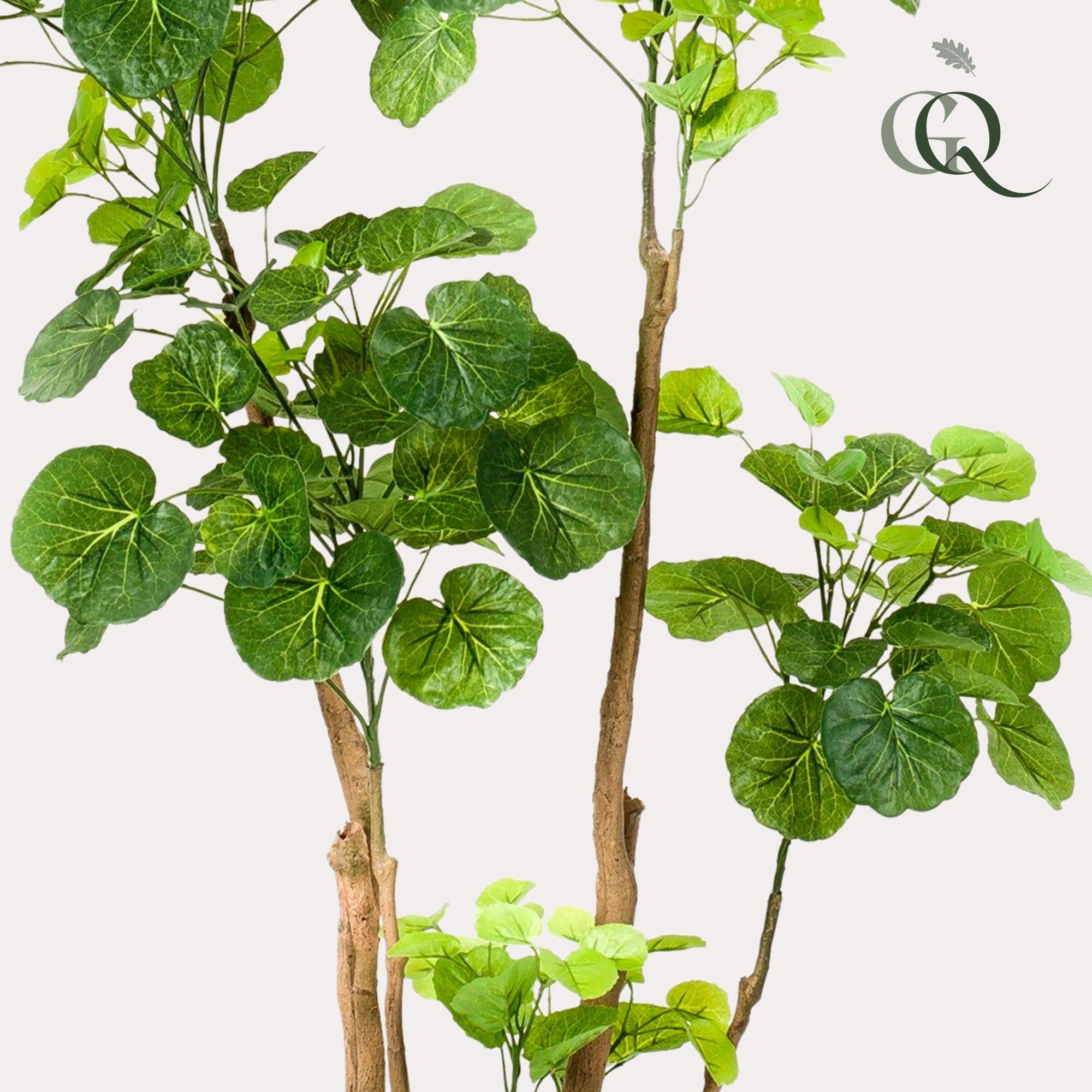 Kunstplant Polyscias - Aralia - 140 cm - Een prachtige kunstplant vol leven