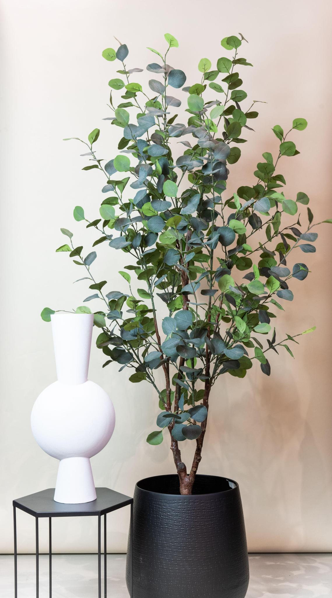 Kunstplant Eucalyptus - Blauwe Gomboom 180 cm - Onderhoudsvrij groen