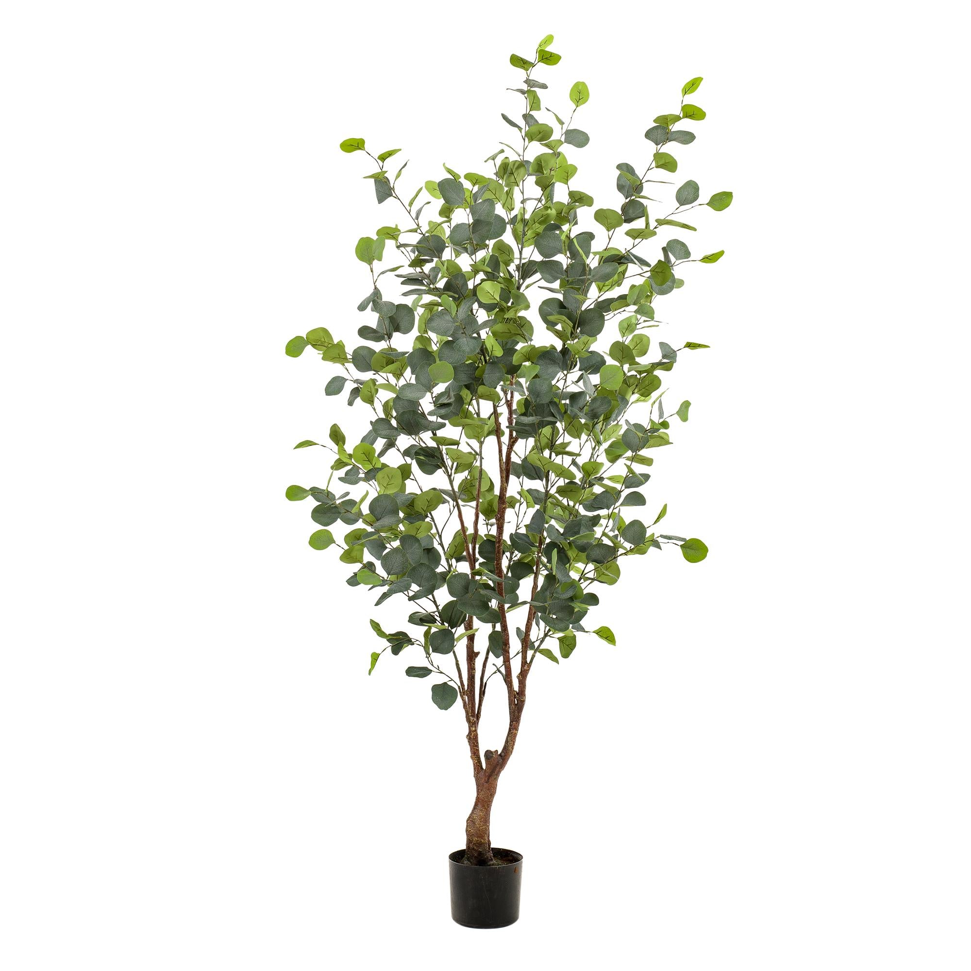 Kunstplant Eucalyptus - Blauwe Gomboom 140 cm - Luxe decoratie