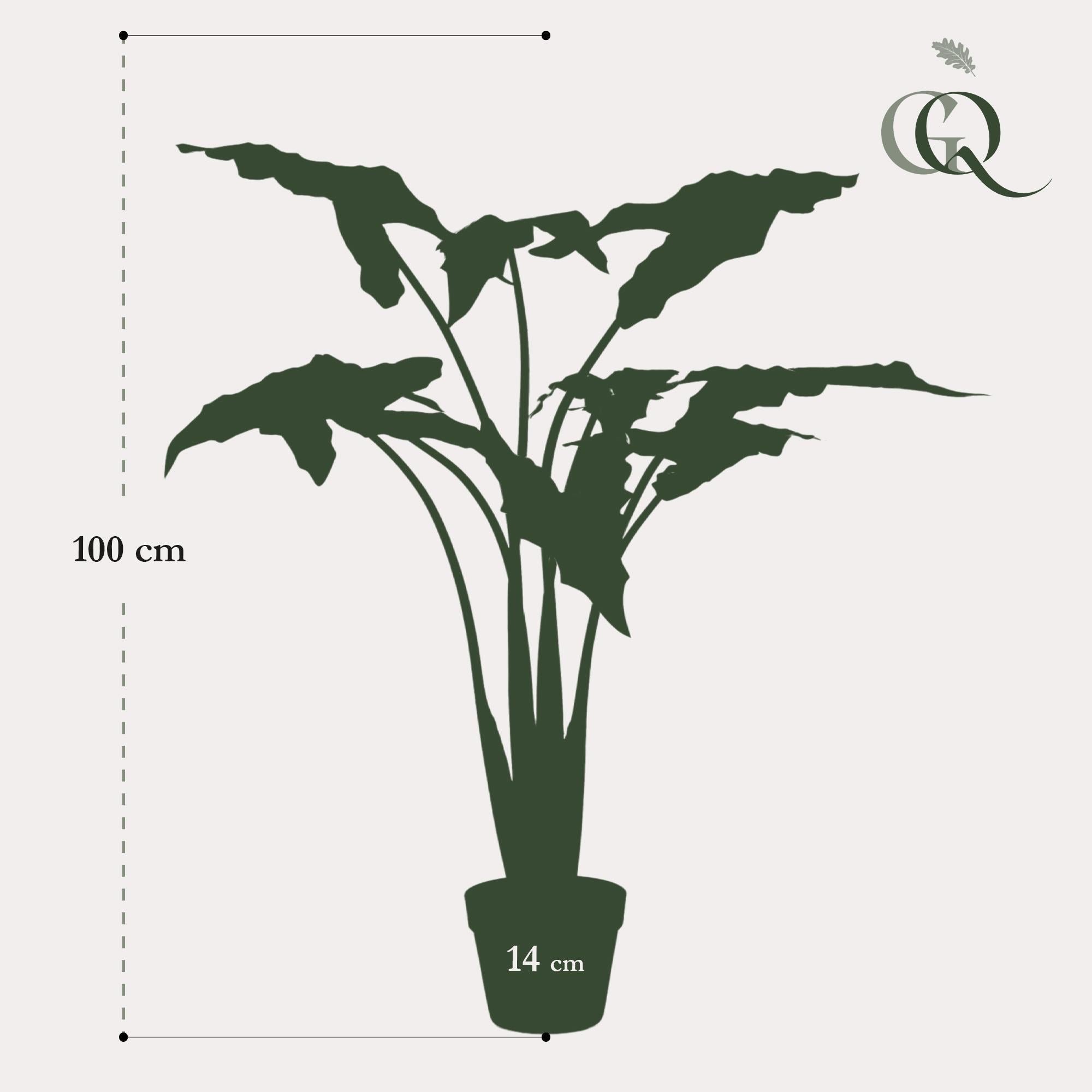 Kunstplant Alocasia Frydek – Olifantsoor – 100 cm - Blijvend mooi