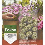 Pokon | Terras & Balkon Planten Voedingskegels - 10 stuks koop je bij Plant & Bomenshop 