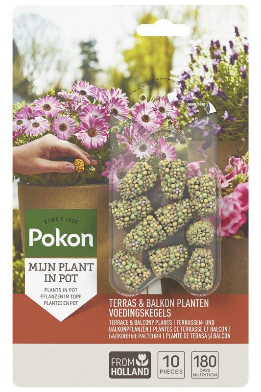 Pokon | Terras & Balkon Planten Voedingskegels - 10 stuks koop je bij Plant & Bomenshop 