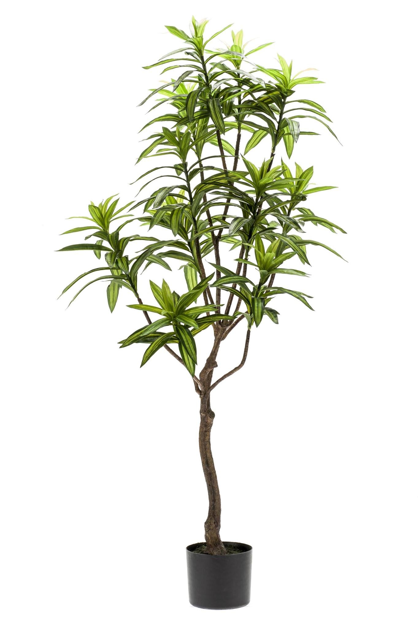 Kunstplant Dracaena - Drakenboom 130 cm - Voor elk interieur