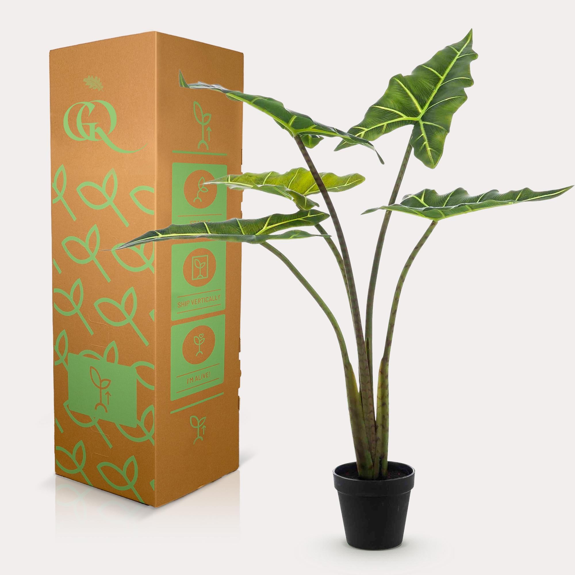 Kunstplant - Alocasia Frydek - Olifantsoor - 80 cm