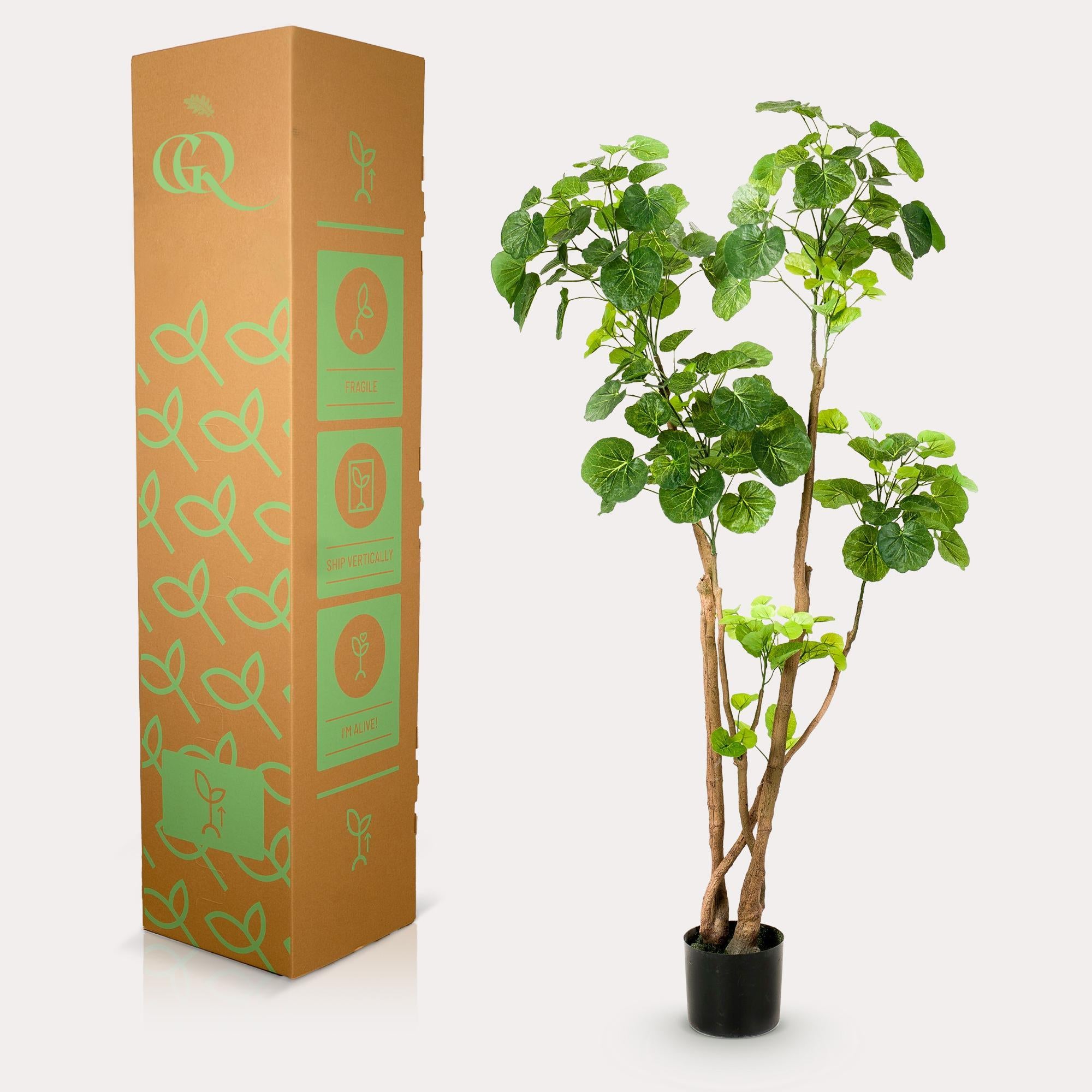 Kunstplant Polyscias - Aralia - 140 cm - Een prachtige kunstplant vol leven