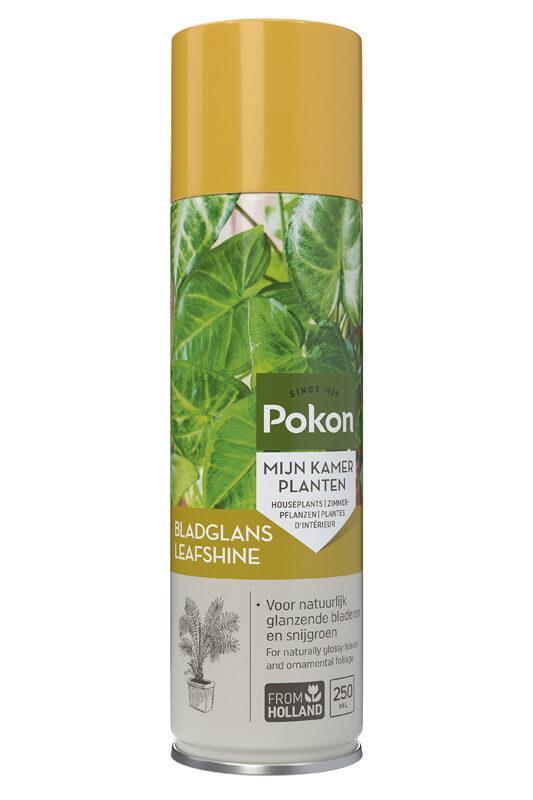 Pokon | Bladglans - 250ML - Voor glanzende en gezonde bladeren. Koop deze bij Plant & Bomenshop