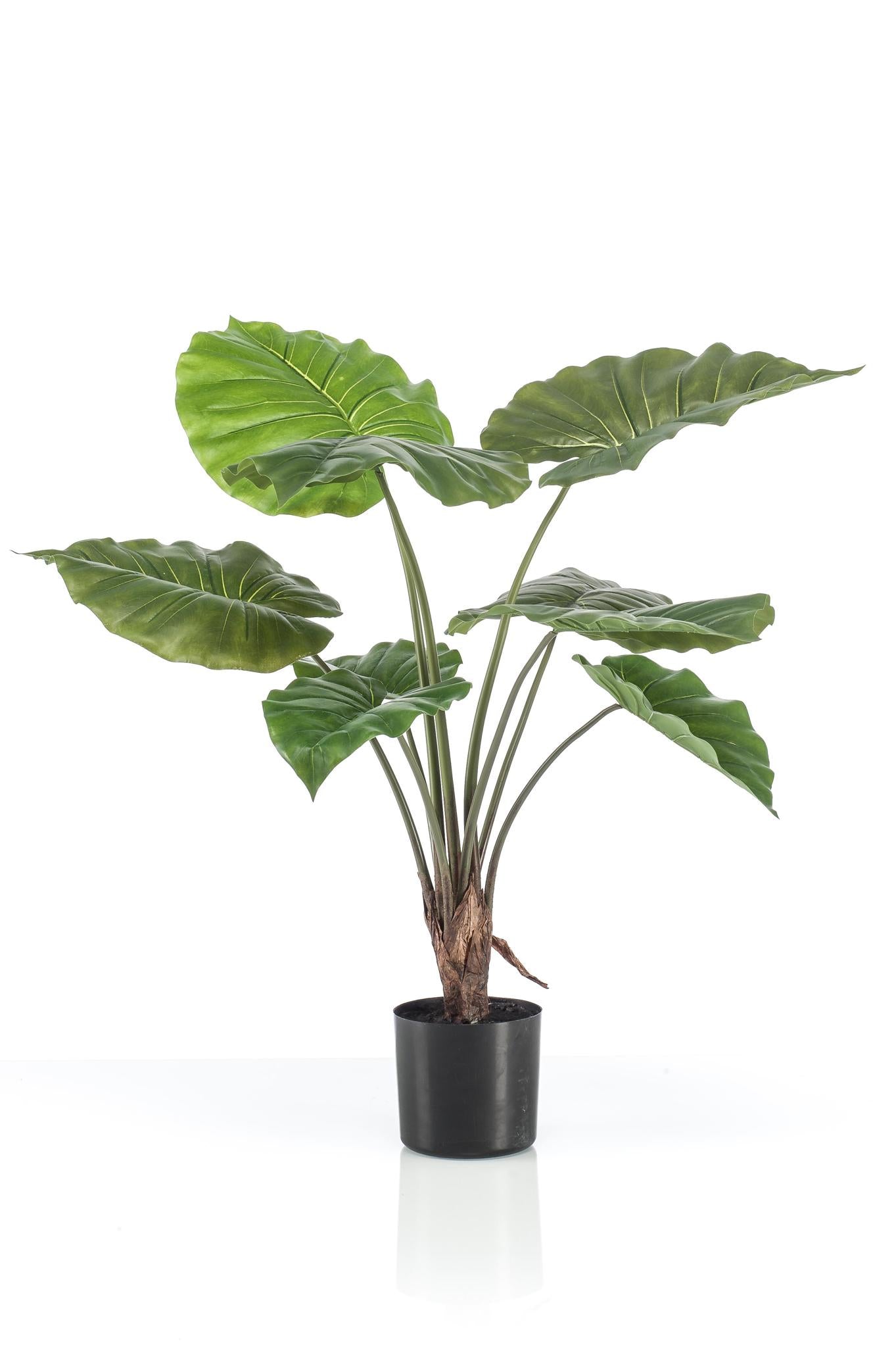 Kunstplant Alocasia - Olifantsoor 70 cm - Altijd groen