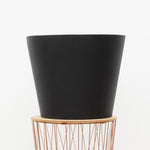 Pot Bucket Black kopen bij Plant & Bomenshop – luxe bloempot voor elke plant