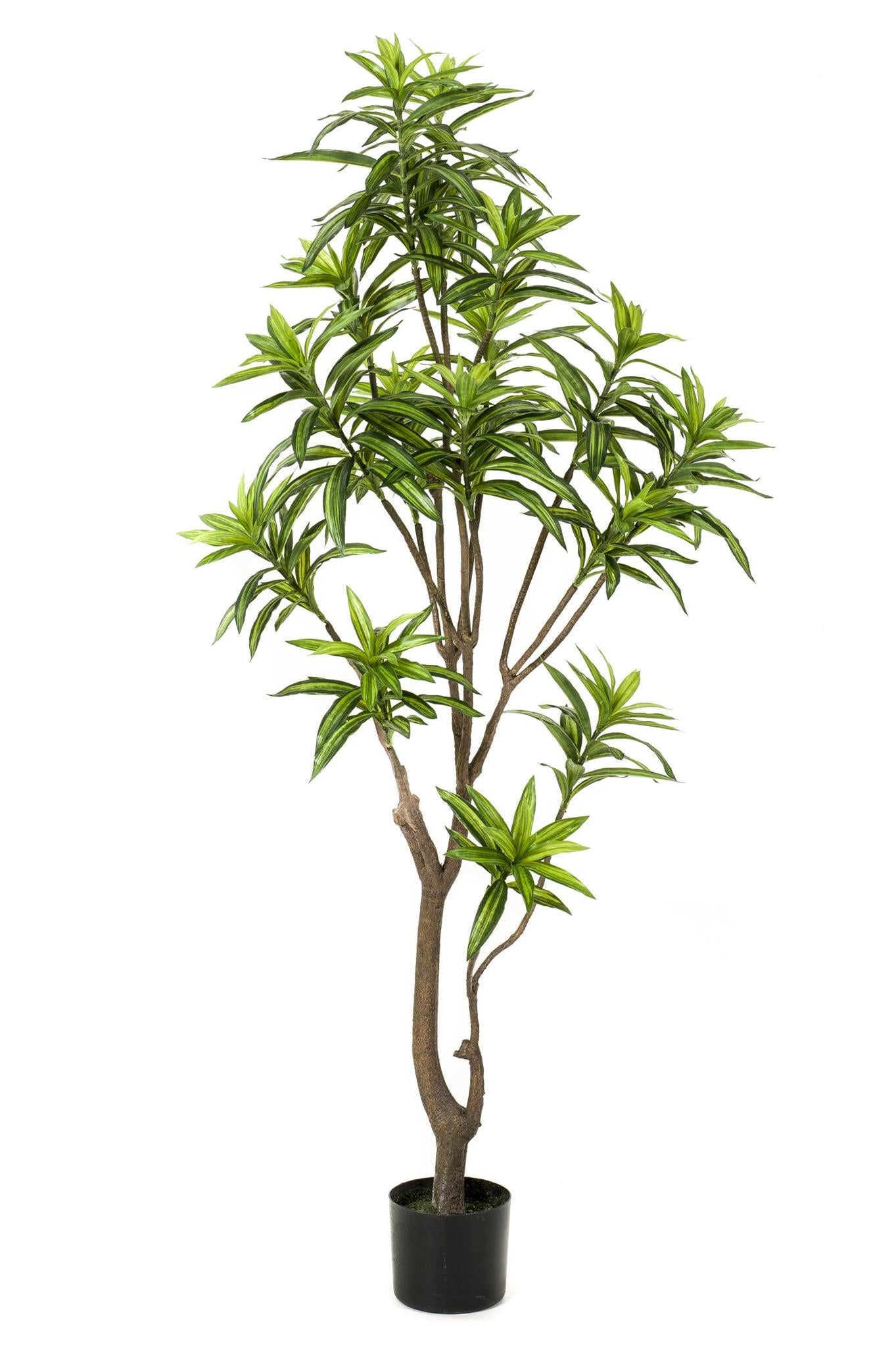 Kunstplant - Dracaena - Drakenboom - 155 cm - Breng groen in je huis