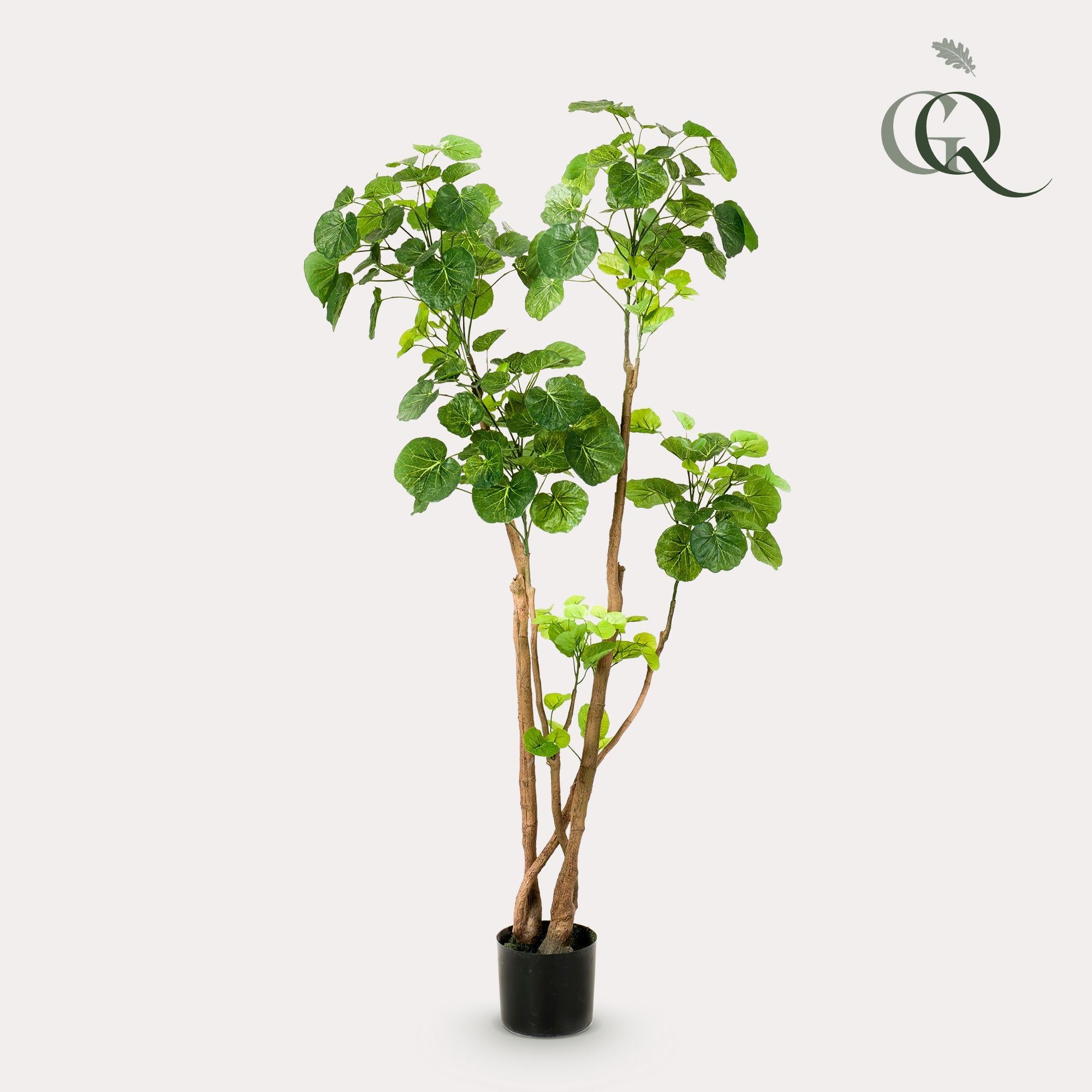 Kunstplant Polyscias - Aralia - 140 cm - Een prachtige kunstplant vol leven