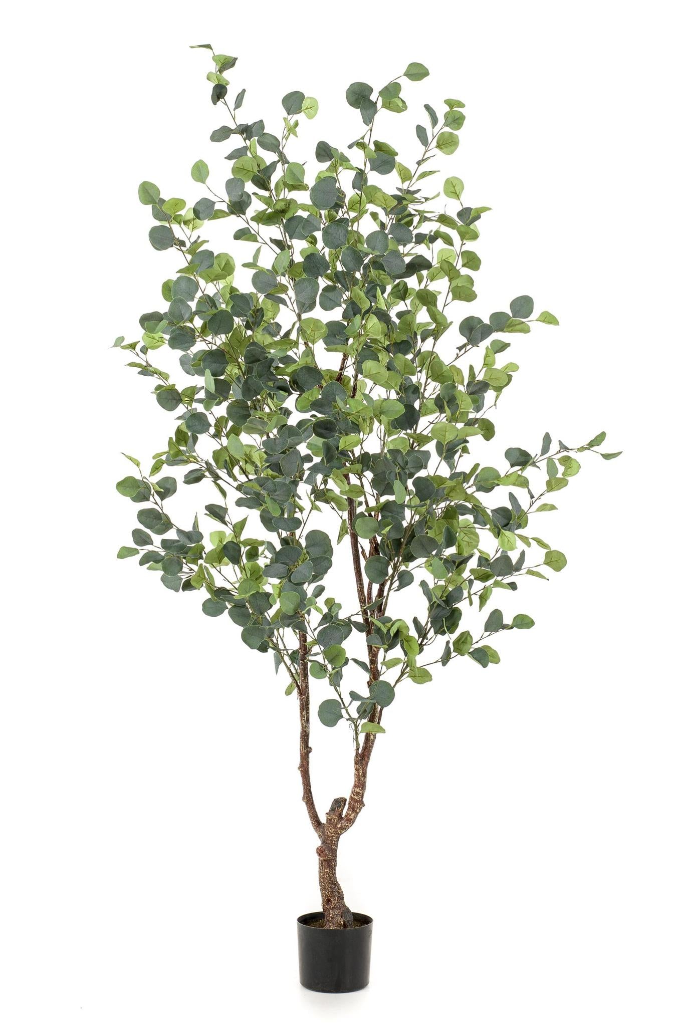 Kunstplant Eucalyptus - Blauwe Gomboom 180 cm - Onderhoudsvrij groen