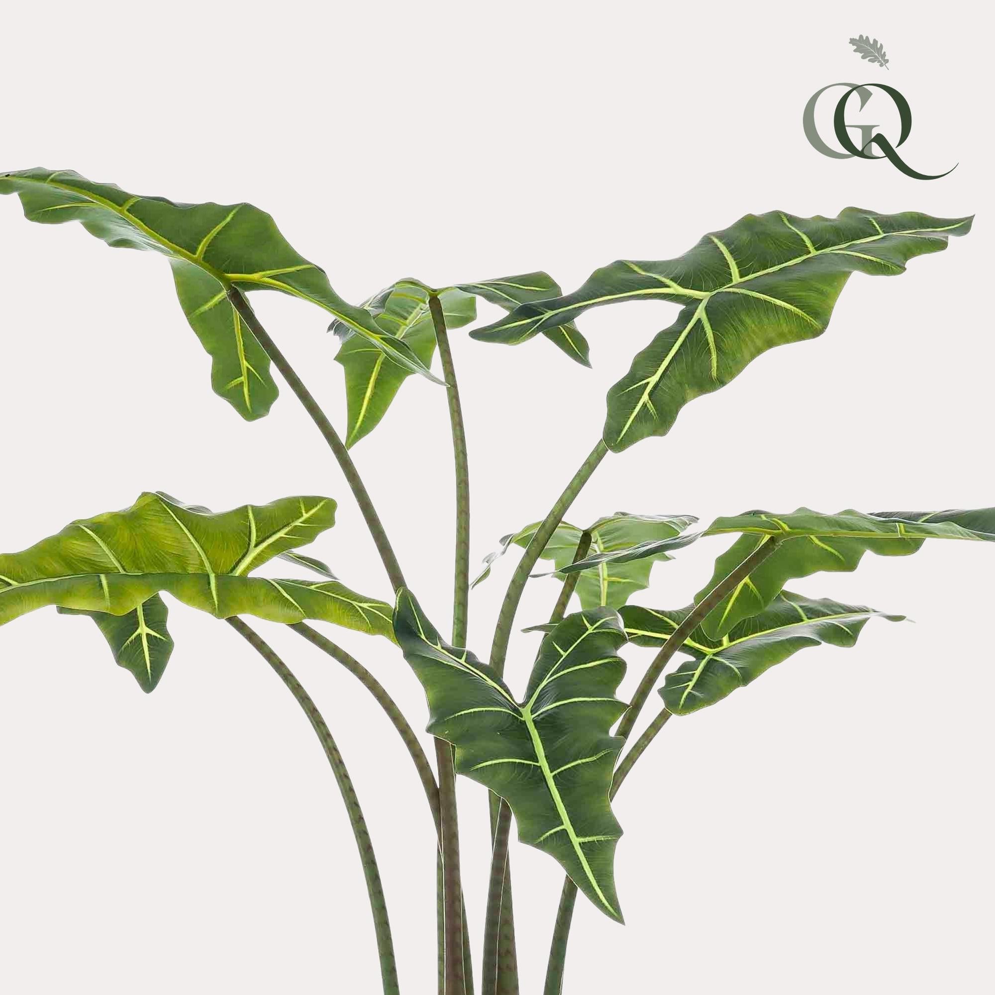 Kunstplant Alocasia Frydek – Olifantsoor – 100 cm - Blijvend mooi