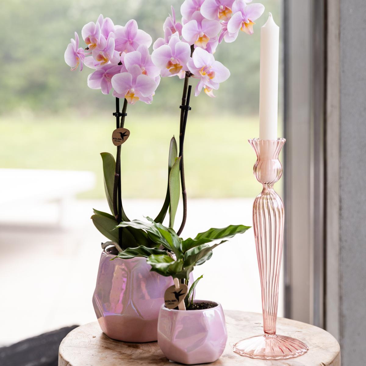 Kolibri Home I Pearl pot - Pink - Ø6cm en Ø9cm